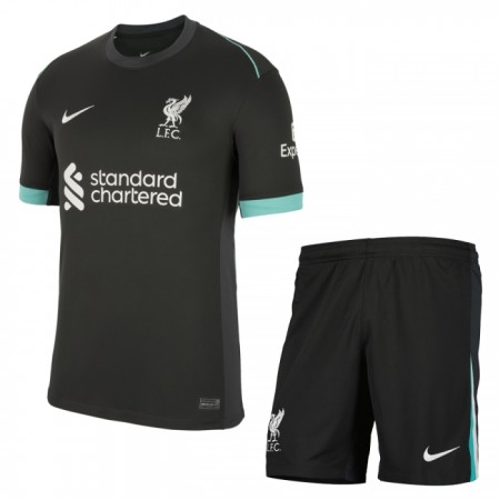 Camiseta Niño Liverpool Segunda 2024-25